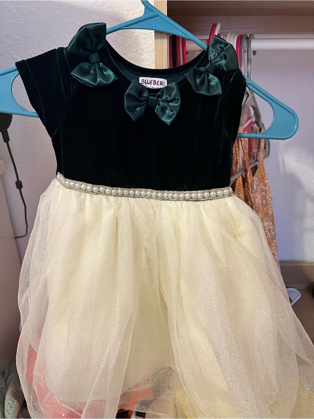 Kids Green Velvet & Cream Tulle Party Dress